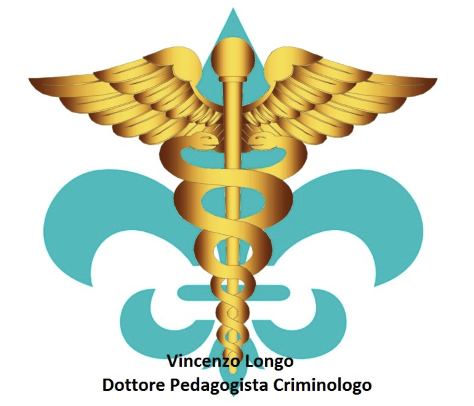 Dottore Pedagogista Vincenzo Longo – Villamarzana (Rovigo)